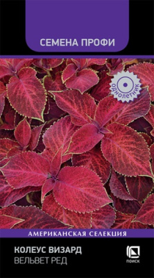 Колеус Визард Вельвет ред 10шт (Семена Профи)
