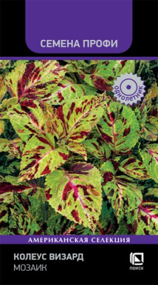 Колеус Визард Мозаик 10шт (Семена Профи)