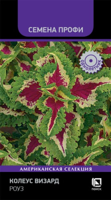 Колеус Визард Роуз 10шт (Семена Профи)