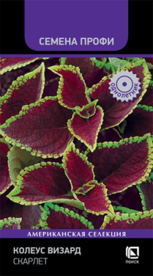 Колеус Визард скарлет 10шт (Семена Профи)