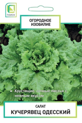 Салат Одесский кучерявец 1г (Огородное изобилие)