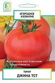 Томат Джина 0,1г (Огородное изобилие)