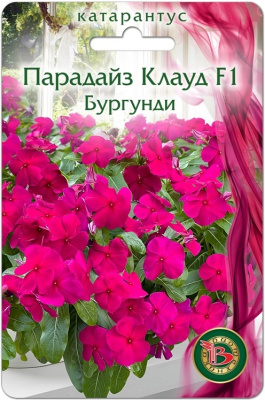 Катарантус Парадайз Клауд Бургунди 5шт