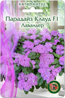 Катарантус Парадайз Клауд Лавандер 5шт