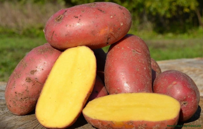 Картофель Лаура РС1 (1 кг)