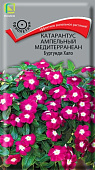 Катарантус Медитерранеан Бургунди Хало 10 шт