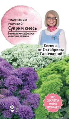 Трахелиум Суприм смесь 5шт (от Ганичкиной)