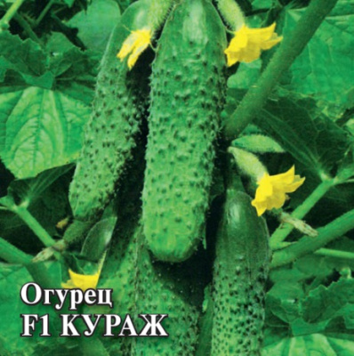 Огурец Кураж 1000 семян