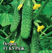 Огурец Кураж 250 сем
