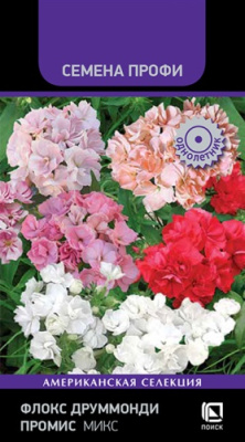 Флокс Промис микс друмм. 10шт