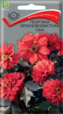 Георгина Рубин бронзоволистная 10шт