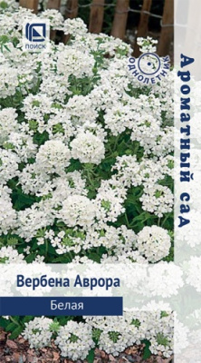Вербена Аврора белая 10шт (Ароматный сад )