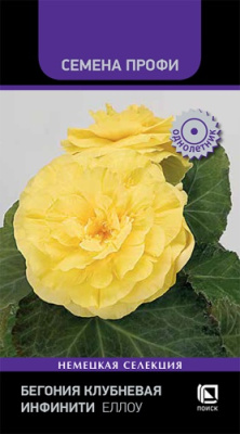 Бегония Инфинити Еллоу 7шт (семена Профи)