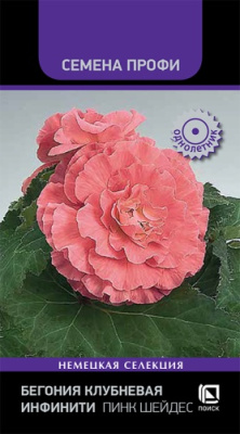 Бегония Инфинити Пинк Шейдес 7шт (семена Профи)