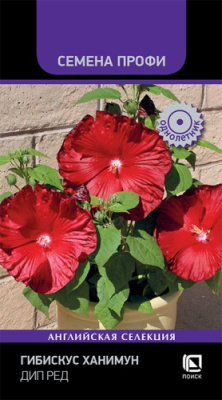 Гибискус Ханимун Дип Ред 3шт (Семена Профи)