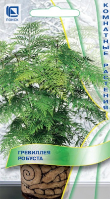 Гревиллея робуста 5шт