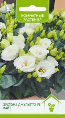 Эустома Джульетта вайт 5шт