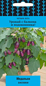 Баклажан Медальон 5шт (Четыре лета)