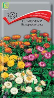 Гелихризум Низкорослая смесь 0,1г