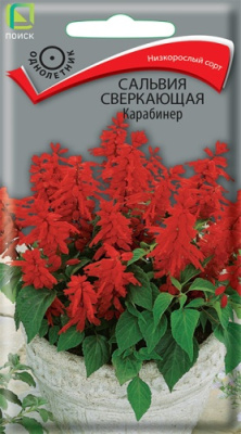 Сальвия Карабинер 0,1г