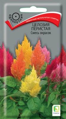 Целозия Смесь окрасок перистая 0,1г