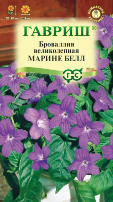цБроваллия Марине Белл 3 шт