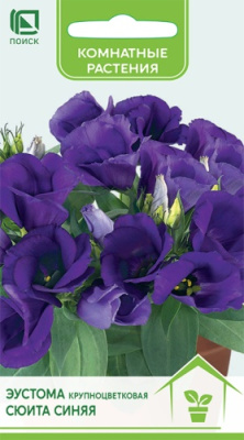 Эустома Сюита Синяя 5 шт