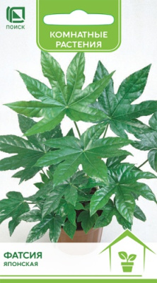 Фатсия японская 3шт