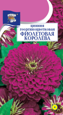 Цинния Фиолетовая королева 0,3г
