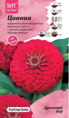 цЦинния Дримленд Ред 5 шт АСТ