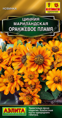Цинния мариландская Оранжевое пламя 15шт