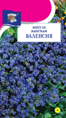 Анхуза Валенсия капская 0,1