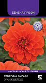 Георгина Фигаро Оранж Шейдес 10шт (Семена Профи)