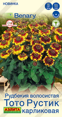 Рудбекия Тото Рустик карликовая 7шт