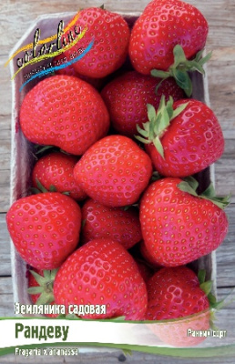 Земляника (Клубника) Рандеву (5 шт)
