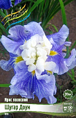 Ирис Шугар Доум (1 шт)
