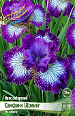 Ирис Самфинк Шокинг (1 шт)