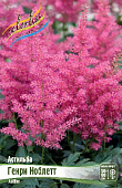 Астильба Генри Ноблетт (1 шт)