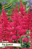 Астильба Рэд Драмсет (1 шт)