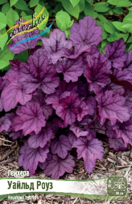 Гейхера Уайльд Роуз (1 шт)