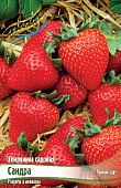 Земляника (Клубника) Сандра (5 шт)