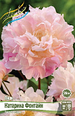 Пион Катарина Фонтайн 3/5 (1 шт)
