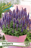Сальвия Блю Букетта (1 шт)