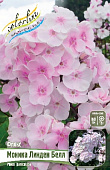 Флокс Моника Линден Белл (2 шт)
