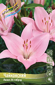 Лилия ЧАЙКОВСКИЙ 16/18 (3 шт)