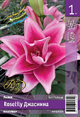 Лилия ЭКОНОМ-СЕРИЯ ROSELILY ДЖАСМИНА (1 шт)