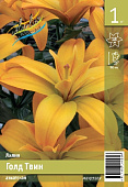 Лилия ЭКОНОМ-СЕРИЯ ГОЛД ТВИН (1 шт)
