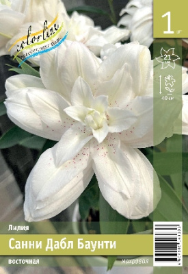 Лилия ЭКОНОМ-СЕРИЯ САННИ ДАБЛ БАУНТИ (1 шт)