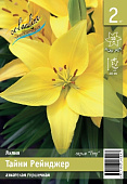 Лилия ЭКОНОМ-СЕРИЯ ТАЙНИ РЕЙНДЖЕР (2 шт)