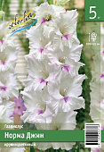 Гладиолус ЭКОНОМ-СЕРИЯ НОРМА ДЖИН (5 шт)